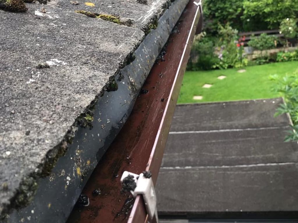 Gutter-after-cleaning