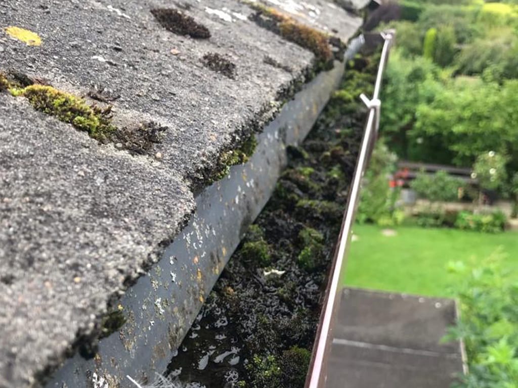 gutter-before-cleaning
