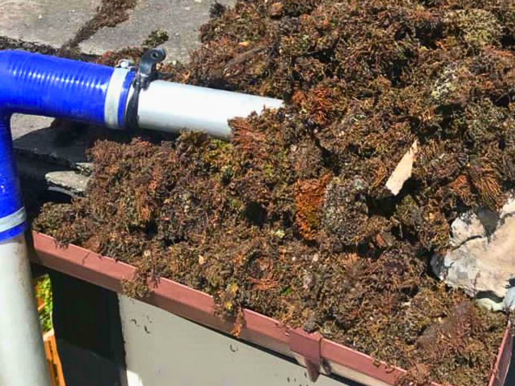 Gutter Cleaning